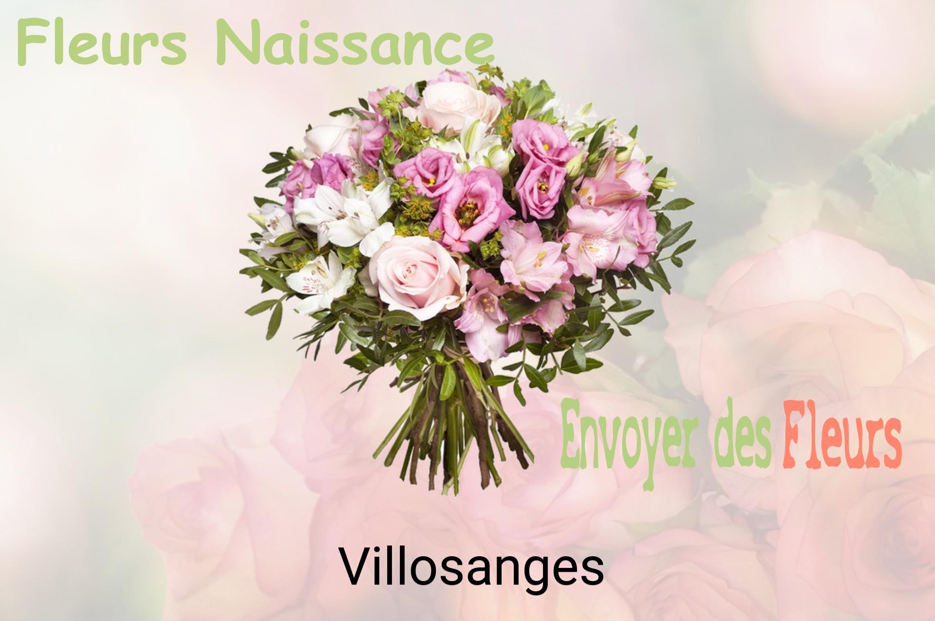 Bouquet de fleurs de naissance livré à Villosanges