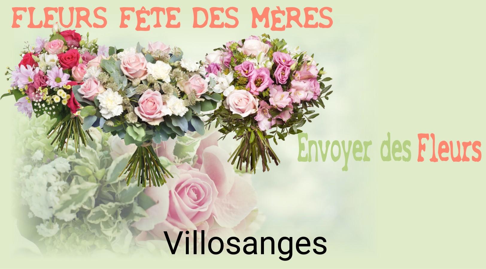 Bouquet de Fête des Mères livré à Villosanges